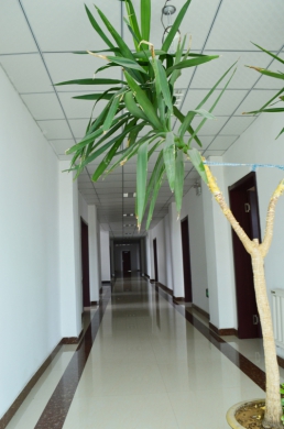 办公走廊